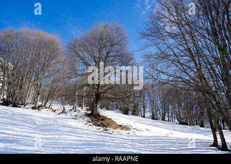 La falta de nieve, Colombiere pass zona, Le Grand-Bornand, Haute-Savoie, Francia Foto de stock