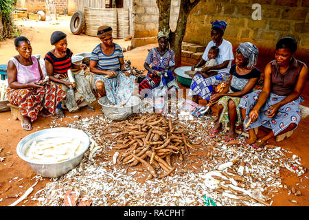Grupo de mujeres pelando la yuca en las afueras de Lomé, Togo, África occidental, África Foto de stock