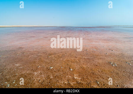 Salar, estanques de evaporación de sal, la costa de los Esqueletos, Namibia Foto de stock