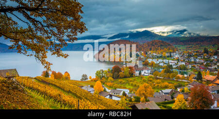 Castillo de Spiez y viñedos, Berner Oberland, Suiza Foto de stock