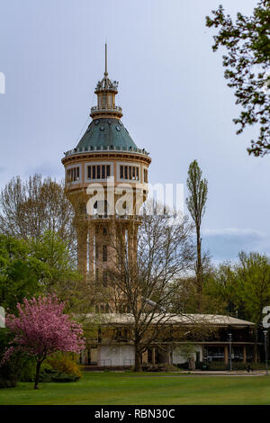 En la Isla Margarita, en Budapest, Hungría es una histórica torre de agua rodeado de árboles Foto de stock