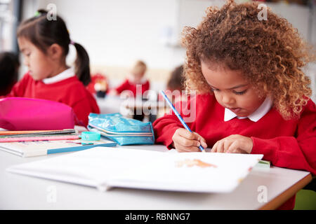 Alumna de raza mixta vistiendo uniforme escolar sentado en una mesa en un aula de la escuela infantil de dibujo, cerrar Foto de stock