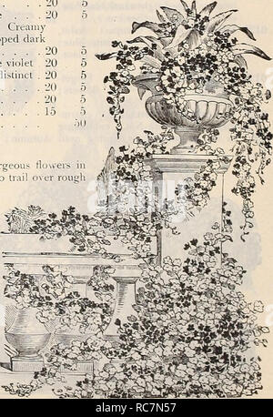 . Dreer's garden calendario : 1899. Los catálogos de semillas; los viveros catálogos; Equipos de jardinería y suministros; catálogos Catálogos de semillas de flores; semillas de hortalizas catálogos; Semillas de frutos catálogos. El soberbio NASTURTIUMS DREER. (Ver ilustración en color en la portada del catálogo.) Tom Thumb, enano o variedades de ropa de cama. Las variedades mejoradas del enano Nasturtium están entre los más populares y hermosos de nuestras plantas de jardín. Su crecimiento compacto y limpio, las flores de colores ricos y libre-floración y cualidades de larga duración, junto con su adaptabilidad a casi cualquier tipo de tierra o situación, hacerlos unsurp Foto de stock