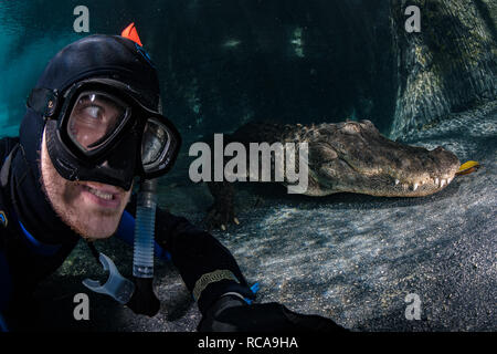 Selfie de cocodrilo Fotografía de stock - Alamy
