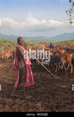 Surma herder con ganado cerca de Tulgit, Valle del río Omo, Etiopía, África