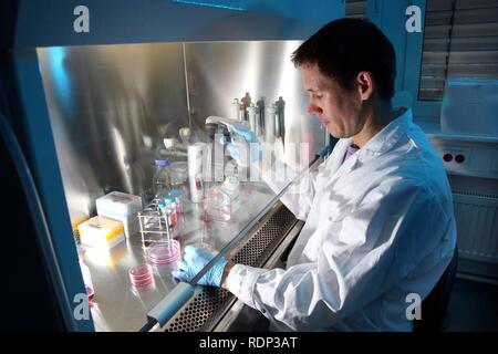 Laboratorio de Biotecnología, flujo laminar, un científico es el pipeteado de un medio de cultivo celular en una placa petri, Center for Medical