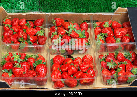 Fresas Frescas En El Mercado De Los Granjeros Foto de archivo - Imagen de  receta, color: 15700910