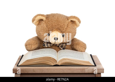 Teddy bear libro de lectura aislado sobre fondo blanco. Foto de stock