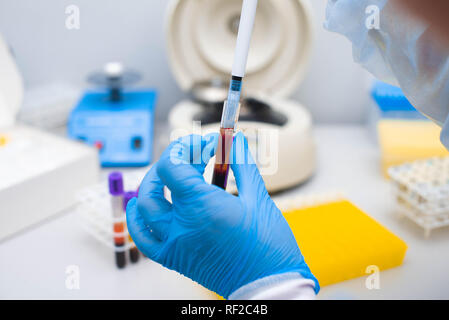 Prueba de ADN en el laboratorio. Un técnico de laboratorio chorreando sangre en un tubo de ensayo de un dispensador. Foto de stock