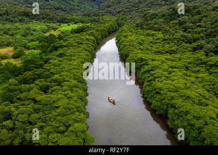 Familia remando en una canoa en un río en la selva tropical, Japón, Iriomote osland