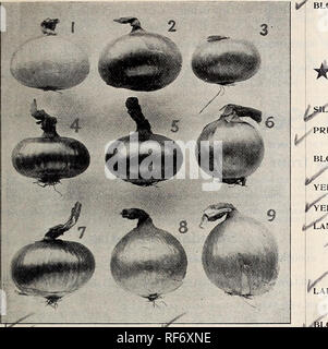 . Landreths' catálogo de semillas. Viveros Catálogos de Filadelfia Pensilvania; catálogos de semillas de hortalizas, plantas ornamentales, Catálogos Catálogos de semillas; flores; fruto de los catálogos. / 0in0N5. Por favor tenga en cuenta que estas imágenes son extraídas de la página escaneada imágenes que podrían haber sido mejoradas digitalmente para mejorar la legibilidad, la coloración y el aspecto de estas ilustraciones pueden no parecerse perfectamente a la obra original. David Landreth &Amp; hijos; Henry G. Gilbert viveros y el comercio de semillas Catálogo Colección. Filadelfia, Pensilvania : [David Landreth &Amp; hijos]