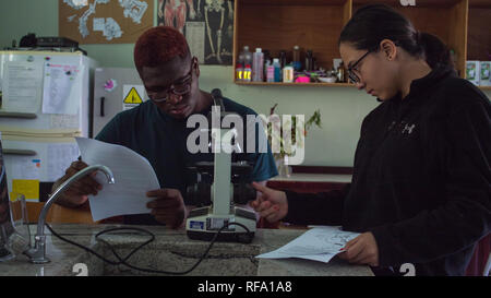 Dos estudiantes de la escuela internacional de gafas están realizando una observación científica, utilizando un microscopio. Un estudiante está leyendo las instrucciones. Foto de stock