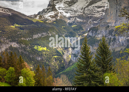 Suiza, Alpes, Berner Oberland, Primavera. Murren, ángulo alto vew de Weisse Lutschine valle. Foto de stock