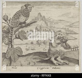 Serie de estampas con flores y animales en un paisaje, Johann Hogenberg, c. 1600 - c. 1605 l.jpg - RFFKK8