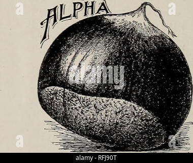 . Lista de precios, otoño 1900 : todo para el cultivador de fruta. Los viveros, Nueva Jersey, catálogos; fruto, Nueva Jersey, catálogos; Árboles, Nueva Jersey, catálogos. 2 Arthur J. Collins EL CULTIVO DE NOGALES, seguido adquirió sus árboles de la selva, donde las raíces fueron pobres de lleno y de recep- ción de uo cuidado. Pero ahora el árbol Xut tiene tanta importancia y reciba tanta atención como cualquier cosa en la guardería, y decimos- " Planta Nogales." La historia de nuestras castañas E,nterprise en 1895. Clayton L. Andrews y he comprado 14 acres de madera de castaño, con la vista de la creciente grande
