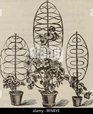 . Ilustrado y catálogo descriptivo de jardín, campo y semillas de flores : implementos agrícolas y hortícolas, fertilizantes, etc.. Los catálogos de semillas de flores, plantas ornamentales, catálogos; semillas de hortalizas catálogos; Equipos de jardinería y suministros; catálogos catálogos comerciales Portland Maine. . Por favor tenga en cuenta que estas imágenes son extraídas de la página escaneada imágenes que podrían haber sido mejoradas digitalmente para mejorar la legibilidad, la coloración y el aspecto de estas ilustraciones pueden no parecerse perfectamente a la obra original. Kendall &Amp; Whitney (Empresa); Henry G. Gilbert Vivero Catálogo del comercio de semillas y Co