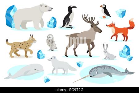 Set de animales polares árticos y antárticos. Pingüino, oso polar, foca,  reno, ballena, buho, albatros, frailecillo, morsa, zorro ártico y yak.  Ilustración de vector. Stock Vector