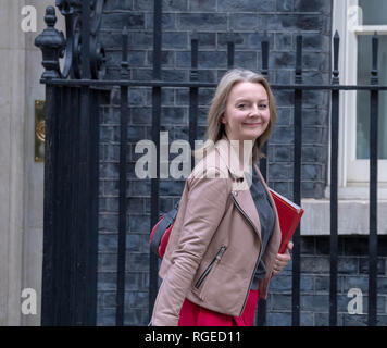 Londres, Reino Unido. 29 de enero de 2019. sale de una reunión del gabinete en el número 10 de Downing Street, Londres Ian Davidson Crédito/Alamy Live News Foto de stock