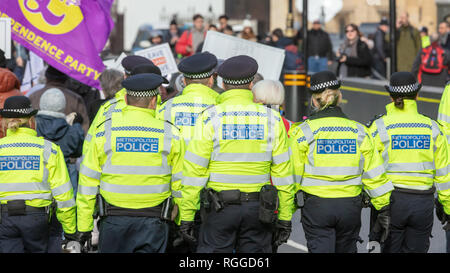 Westminster, Londres, Reino Unido; el 29 de enero de 2019; el grupo de funcionarios de la Policía Metropolitana la policía una manifestación Pro-Brexit fuera del parlamento Foto de stock