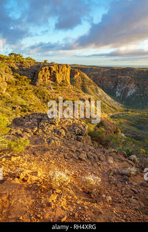 Senderismo en charles cuchillo Canyon, cerca de Exmouth, en Australia occidental Foto de stock