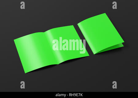Folleto verde en blanco abierto y plegado medio plegado sobre fondo negro. Con trazado de recorte alrededor del folleto Foto de stock