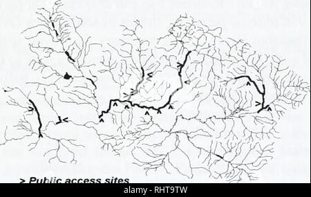 . El gran río Blackfoot restauración informe de progreso para el 2002 y 2003 . Las poblaciones de peces; peces; manejo pesquero; pesca de truchas; ecología; Stream Blackfoot Río (Mont. ). Aunque bull trout son particularmente sensibles a muchas amenazas, el torbellino enfermedad parece que menos de una preocupación de la trucha de bull que para el resto de los salmónidos. En comparación con WSCT, trucha arco iris y trucha de arroyo, la trucha de bull exhiben una mayor resistencia a las enfermedades fisiológicas torbellino (Vincent, 2001). En 2002, como enfermedad de remolinos continuó aumentando las tasas de infección, hemos ampliado el torbellino de vigilancia de la enfermedad a la trucha de Bull s