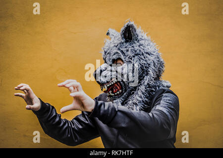 Fotografía Una Persona Con Una Máscara Lobo: fotografía de stock