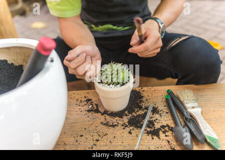 Planta suculenta en miniatura y cactus en maceta varios tipos mezcla de  colección conjunto cactus decorar en el jardín 5930494 Foto de stock en  Vecteezy