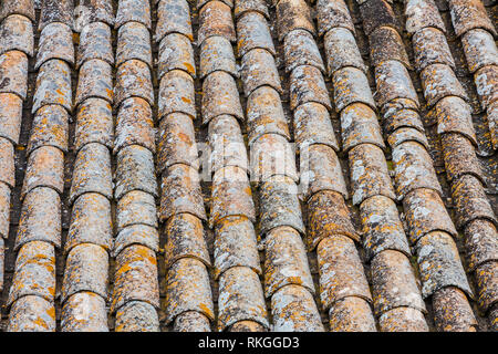 Techos de tejas rojas sin fisuras. Texturas vectoriales Fotografía de
