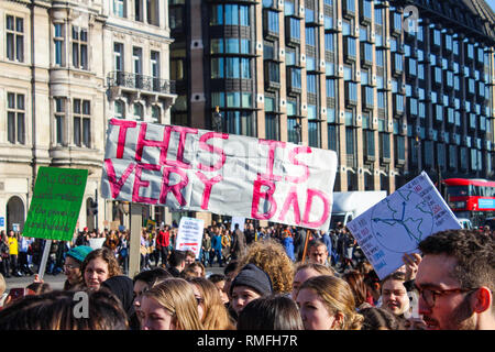 Londres, Reino Unido. 15 Feb, 2019. 15 de febrero de 2019, YouthStrike4Climate, Parliament Square, Londres. Los estudiantes se reúnen fuera de las casas del parlamento en la manifestación para luchar contra el cambio climático. Crédito: Oliver Cole/Alamy Live News Foto de stock