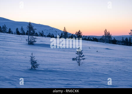 La vista horizontal en Palas-Yllästunturi National Park en invierno en Finlandia Foto de stock
