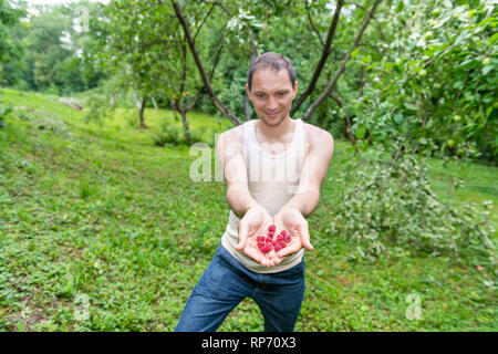 Joven agricultor feliz el hombre mostrando las frambuesas maduras bayas rojas en Rusia o Ucrania jardín dacha granja con las palmas abiertas las manos y el fondo verde Foto de stock