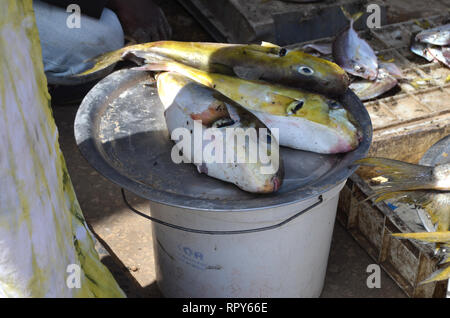 Concurrido mercado de pescado en Mbour, Senegal, un hub regional de comercio