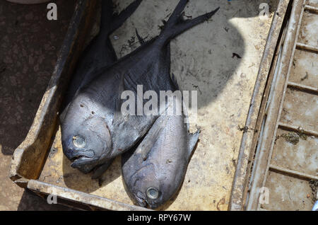 Concurrido mercado de pescado en Mbour, Senegal, un hub regional de comercio