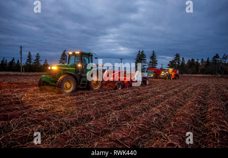 Equipo de granja cosechar patatas al anochecer; Prince Edward Island, Canadá Foto de stock