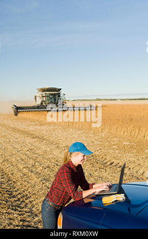 Una granja niña usa un ordenador portátil como un campo de trabajo de la cosechadora durante la cosecha de soja, cerca de Lorette, Manitoba, Canadá Foto de stock