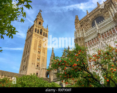 La catedral y la Giralda de Sevilla, Andalucía, España