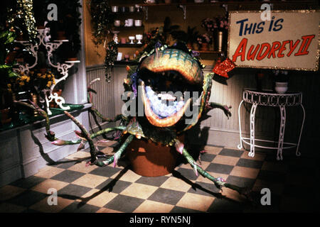 AUDREY II, la pequeña tienda de los horrores, 1986 Foto de stock
