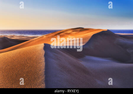 Dunas vírgenes bajo el cálido suave luz matinal de Stockton Beach en la costa del Pacífico en Australia.