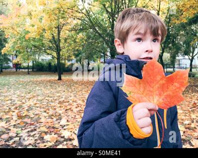 Joven la celebración en otoño de hojas de color rojo