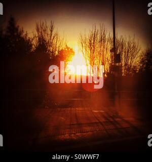 El sol de primera hora de la mañana se filtra a través de los árboles sobre Brighton Foto de stock