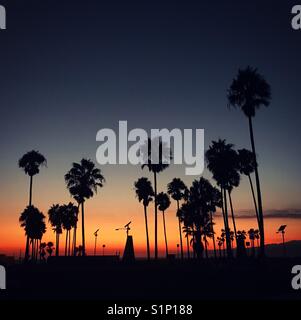 Puesta de sol sobre las palmeras en Venice Beach, Los Ángeles, California, Estados Unidos. Foto de stock