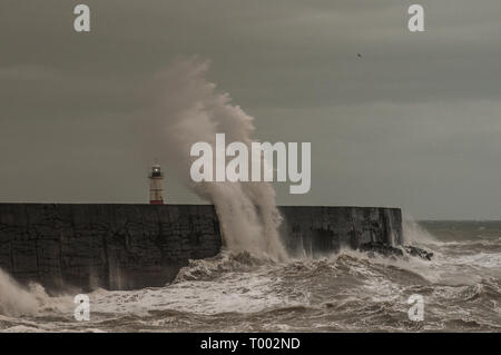 Newhaven, East Sussex, UK..16 de marzo de 2019..Los fuertes vientos del sur de Westerley regresan a la costa del canal a medida que la tormenta Hannah se acerca, creando algunas escenas dramáticas... Foto de stock