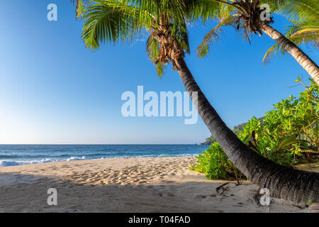 Playa exótica al atardecer con palmas de coco en una isla tropical Foto de stock