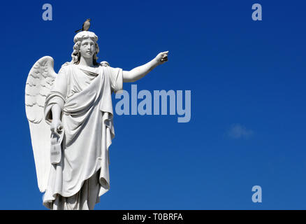 Un pájaro se posa en la cima de una estatua de un ángel en el cementerio de Colón (Cementerio de Cristóbal Colón, en La Habana, Cuba. El cementerio fue fundado en 1876. Foto de stock