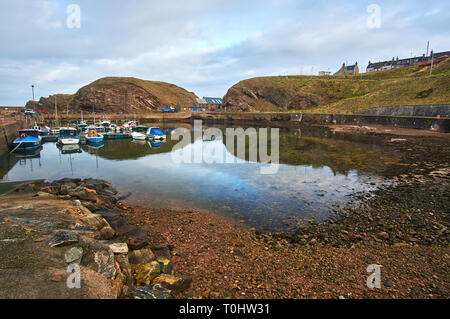 Arenque Portknockie es un antiguo pueblo de pescadores situado en el Moray Firth en la costa del Mar del Norte, al norte de Escocia, Reino Unido. Foto de stock