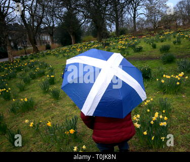Glasgow, Escocia, Reino Unido, 20 de marzo de 2019, el clima del REINO UNIDO: Equinoccio de Primavera en los jardines botánicos de la flora. Gerard crédito Ferry/Alamy Live News