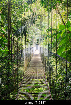 Uno de los 6 puentes colgantes en Arenal Puentes Colgantes Park en Costa Rica Foto de stock