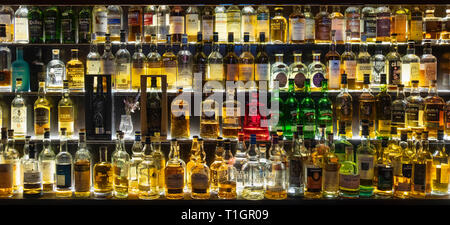 Una amplia selección de whiskys escoceses iluminado en estantes de vidrio y en óptica, Escocia