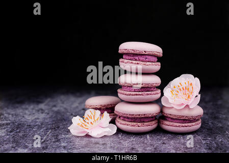 Cookies macaron francés postre rosa lila oscuro sobre un fondo negro con flores rosas